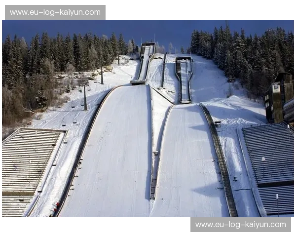 跳台滑雪赛事预测:看懂风与距离的艺术 跳台滑雪赛事预测:看懂风与距离的艺术
