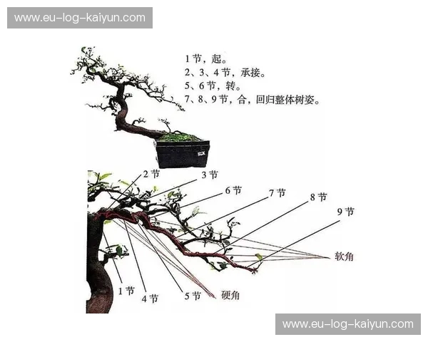 射箭赛程的韵律与热度 射箭赛程的韵律与热度